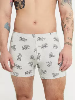 Трусы мужские шорты светло-серые с принтом