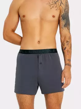 Трусы мужские шорты в сером оттенке