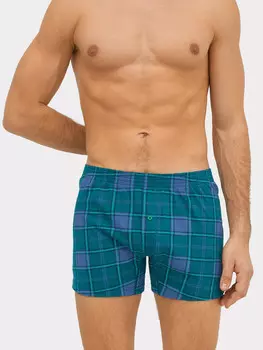 Трусы мужские шорты в зеленую клетку