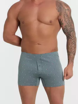 Трусы шорты мужские голубые с принтом