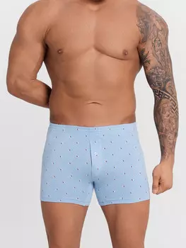 Трусы шорты мужские голубые с принтом