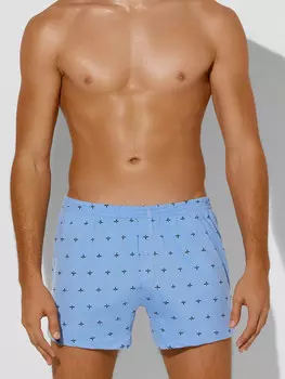 Трусы шорты мужские голубые с принтом