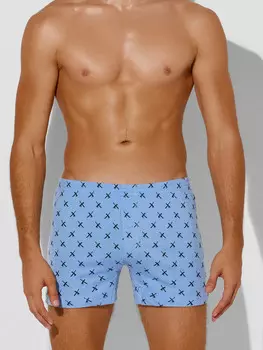 Трусы шорты мужские голубые с принтом