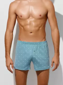 Трусы шорты мужские голубые с принтом