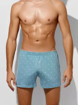 Трусы шорты мужские голубые с принтом