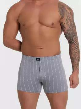 Трусы шорты мужские серые в полоску