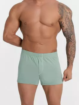 Трусы шорты мужские зеленые