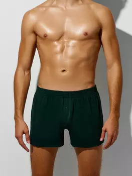Трусы шорты мужские зеленые
