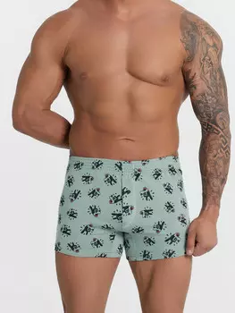 Трусы шорты мужские зеленые с принтом