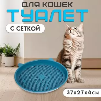 Туалет с сеткой