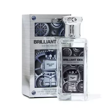 Туалетная вода мужская brilliant idea, 100 мл