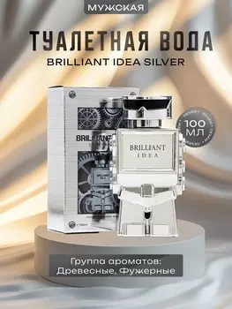 Туалетная вода мужская brilliant idea silver, 100 мл