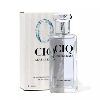 Туалетная вода мужская ciq gentle days, 100 мл