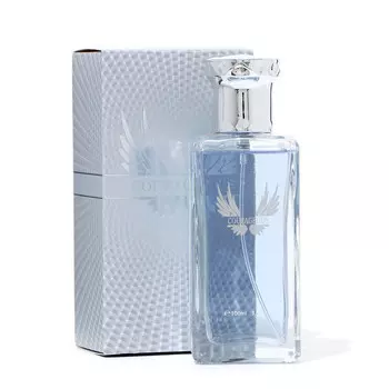 Туалетная вода мужская courageous, 100 мл