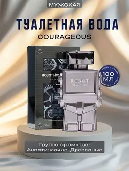 Туалетная вода мужская courageous, 100 мл