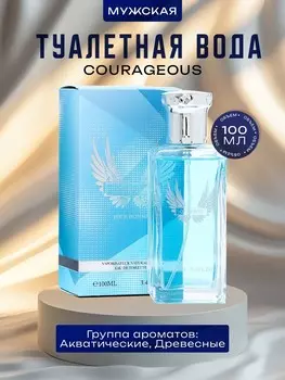 Туалетная вода мужская courageous, 100 мл