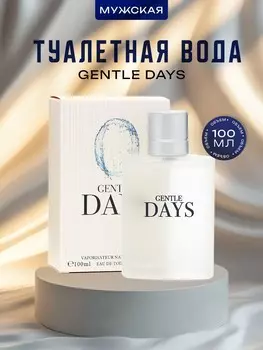 Туалетная вода мужская gentle days, 100 мл