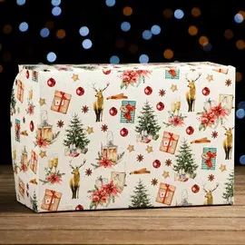 Упаковка без окна