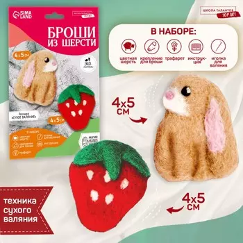 Валяние из шерсти. брошь