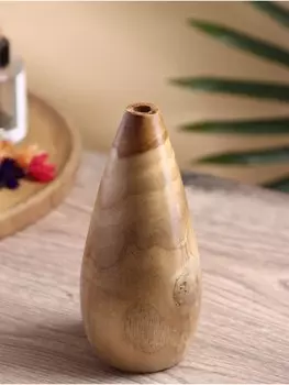 Ваза для сухоцветов