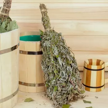 Веник для бани 45 (+-5) см травяной из мяты, в индивидуальной упаковке