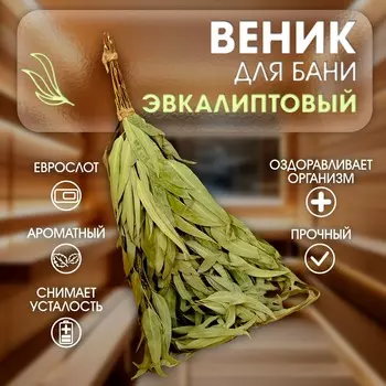 Веник для бани, эвкалиптовый, 53 (+-2) см,