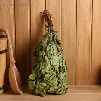 Веник для бани, кленовый, в пакете