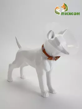 Ветеринарный воротник с креплением на ошейник, высота 12.5 см (без ошейника)