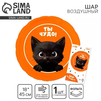 Воздушный шар фольгированный 18