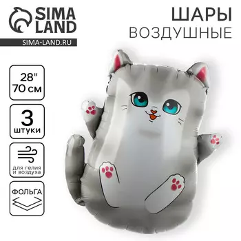 Воздушный шар фольгированный 28