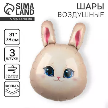 Воздушный шар фольгированный 31