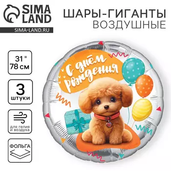 Воздушный шар фольгированный 31