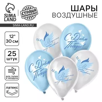 Воздушный шар латексный 12