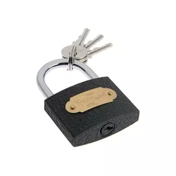 Замок навесной тундра zn1050, 50 мм