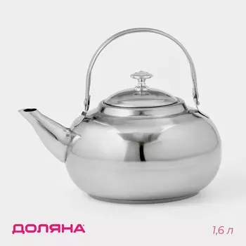 Заварочный чайник доляна