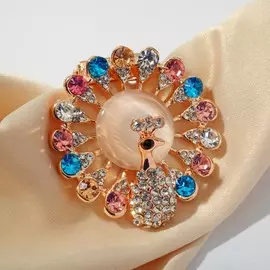 Зажим для платка