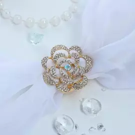 Зажим для платка