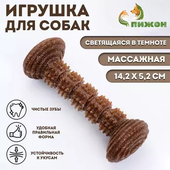 Жевательная игрушка для собак пижон