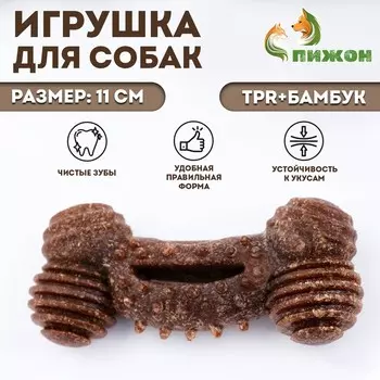 Жевательная игрушка для собак пижон