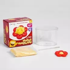 Живые кристаллы