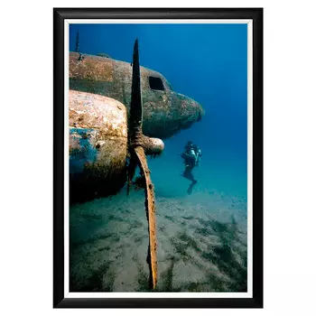 Арт-постер «дакота» под водой» (ракурс 2)