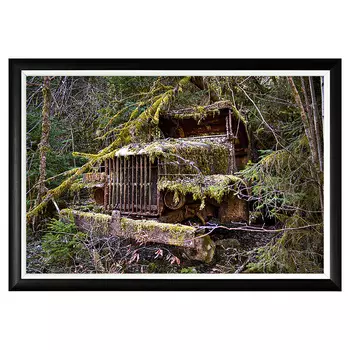 Арт-постер в плену зарослей на дизайнерской бумаге