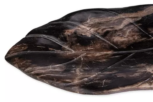 Декоративная тарелка лист из окаменелого дерева 382454