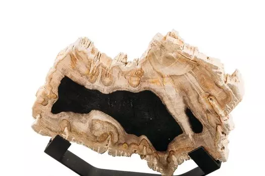 Декоративное панно из окаменелого дерева 382595