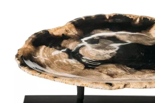 Декоративные тарелки из окаменелого дерева 382386