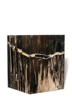 Декоративный пенек джемур из окаменелого дерева 383394