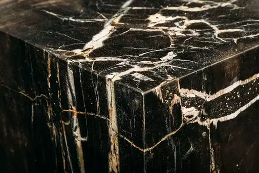 Декоративный пенек джемур из окаменелого дерева 383397