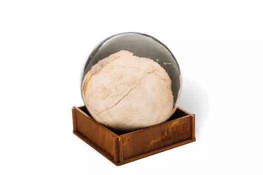 Декоративный шар из окаменелого дерева 383686