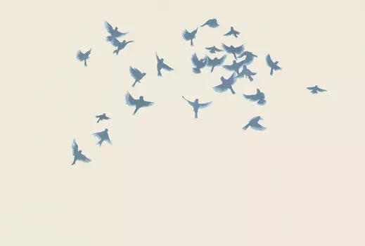 Дизайнерские обои Freedom