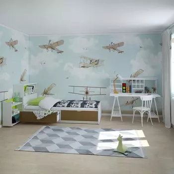 Дизайнерские обои Funny Flight